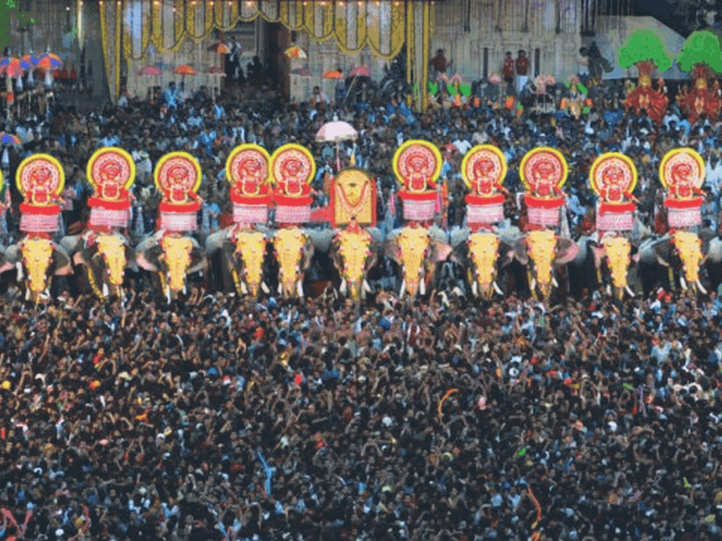 Kerala Elephants in Thrissur pooram