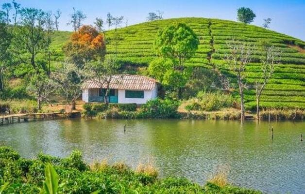 Vagamon Lake