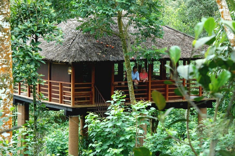 kerala treehouse stay for a couple