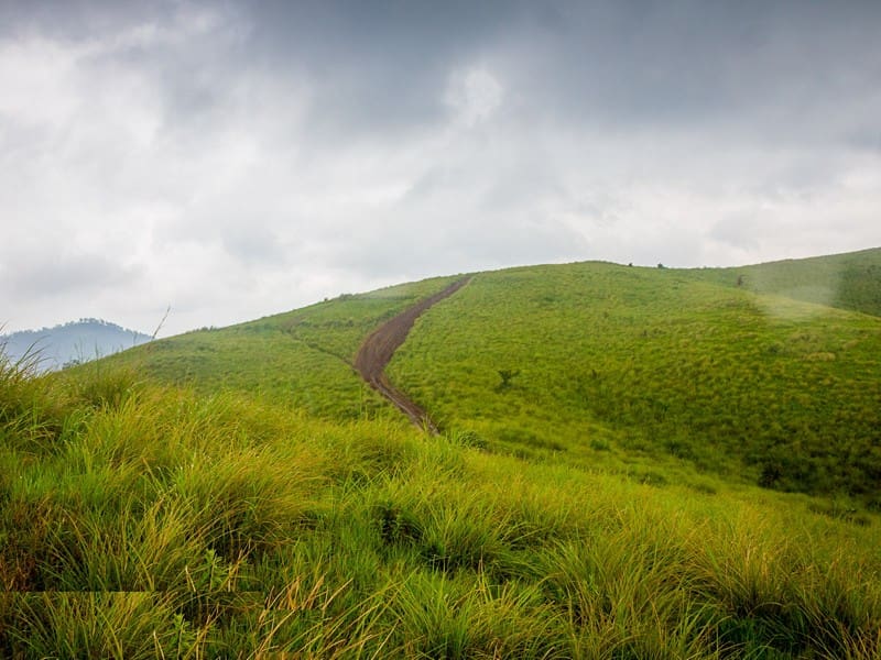 vagamon-hills-kerala