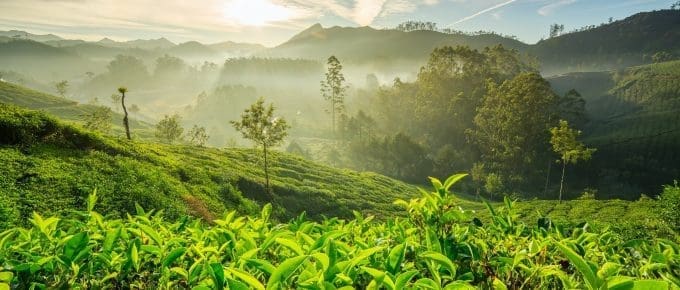 nearest-railway-station-to-munnar