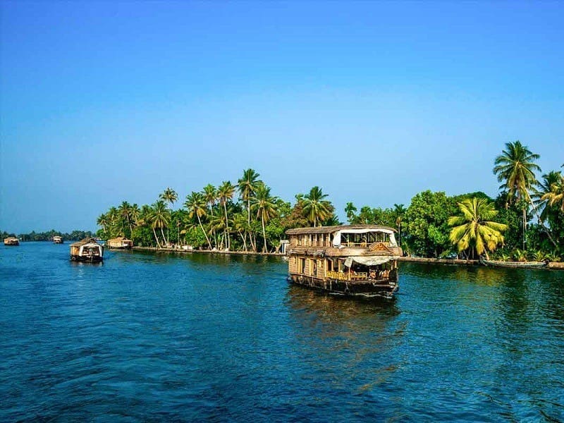 alleppey-day-cruise-one-day-trip-from-kochi