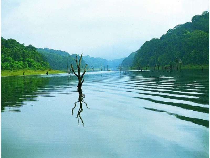 thekkady-lake-kerala