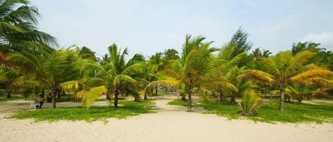 Best Time to Visit Marari Beach