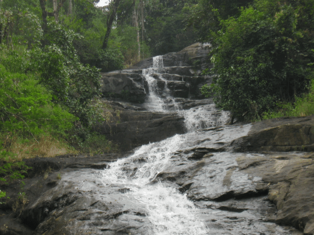 kannavam-forests-kerala