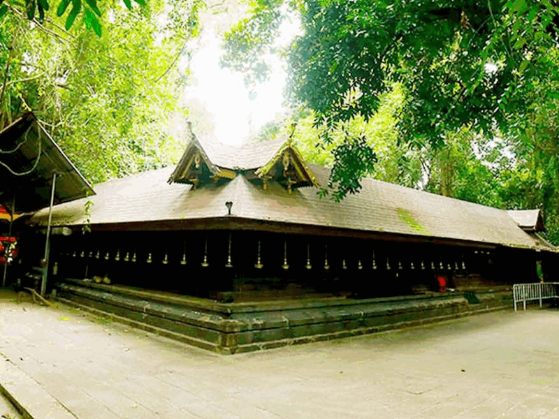 mannarasala-nagaraja-temple-kerala