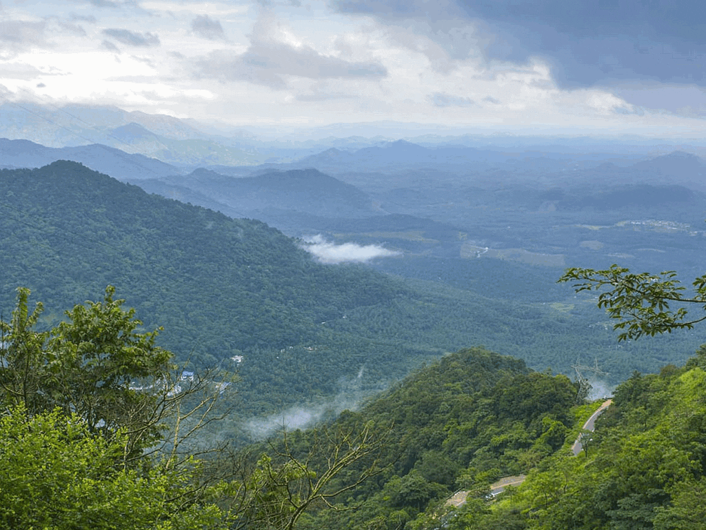 muthanga-forest-range