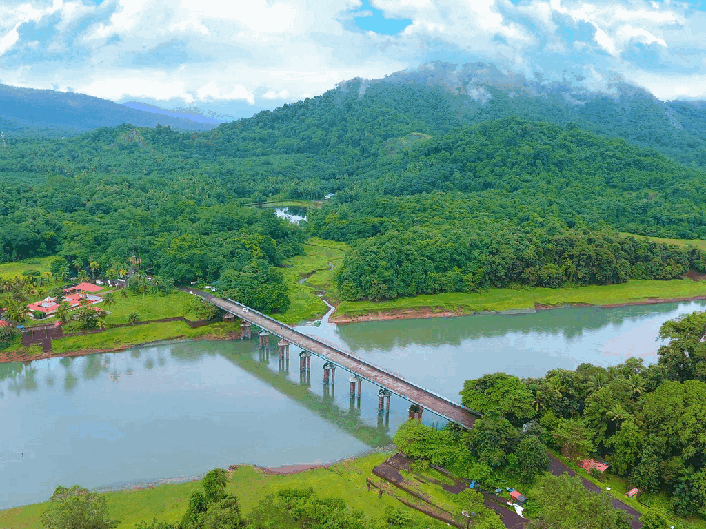 thattekkad-kerala-forest