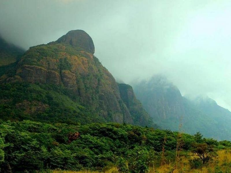 agasthyakoodam-peak-trekking-places-in-kerala