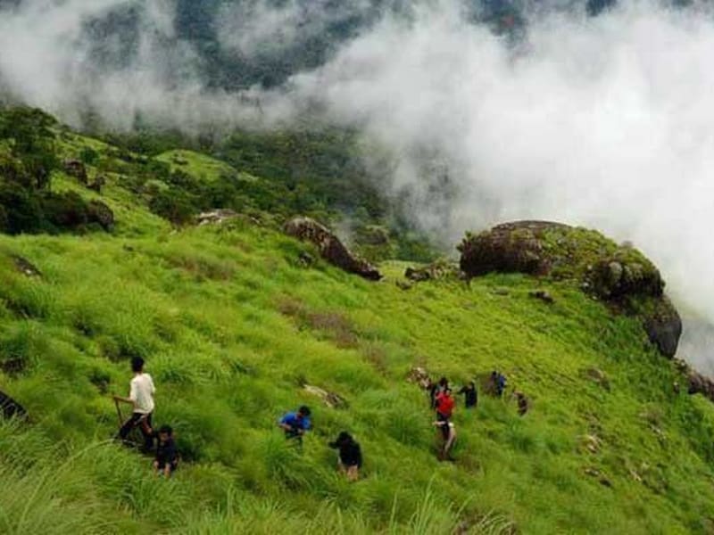 chokramudi-trekking-kerala