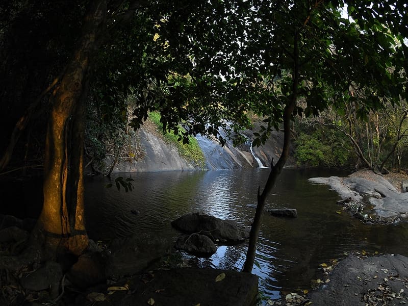 dhoni-hills-kerala-trekking