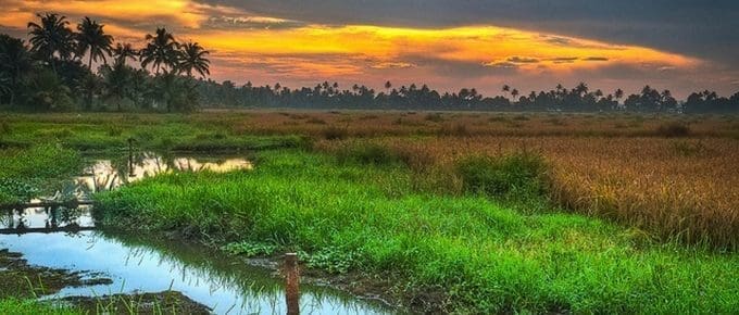 Monsoon Tourism in Kerala