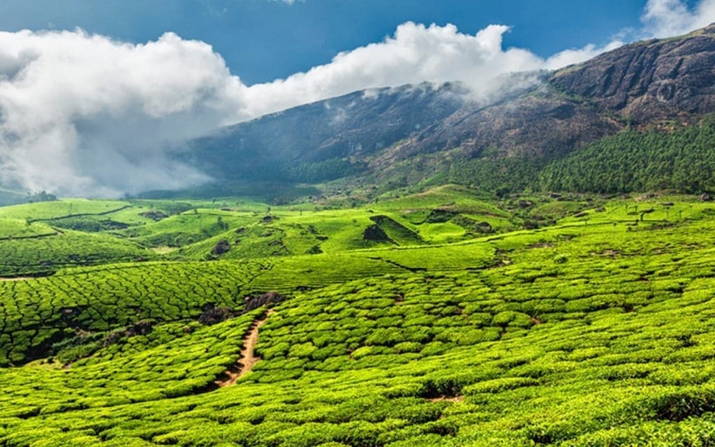 munnar-in-winter