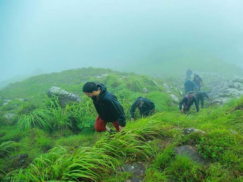 nelliyampathi-trekking-monsoon