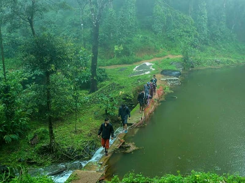 trekking places in kerala 