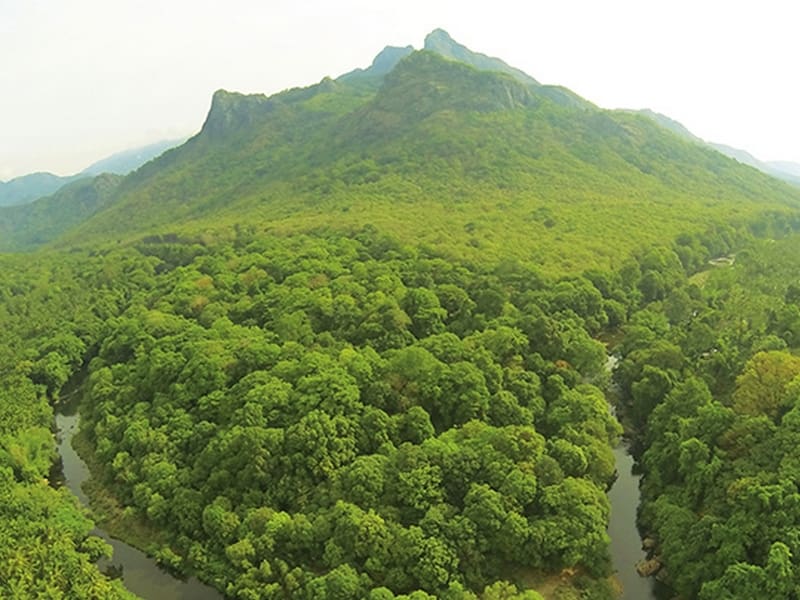 silent-valley-national-park-trekking-kerala