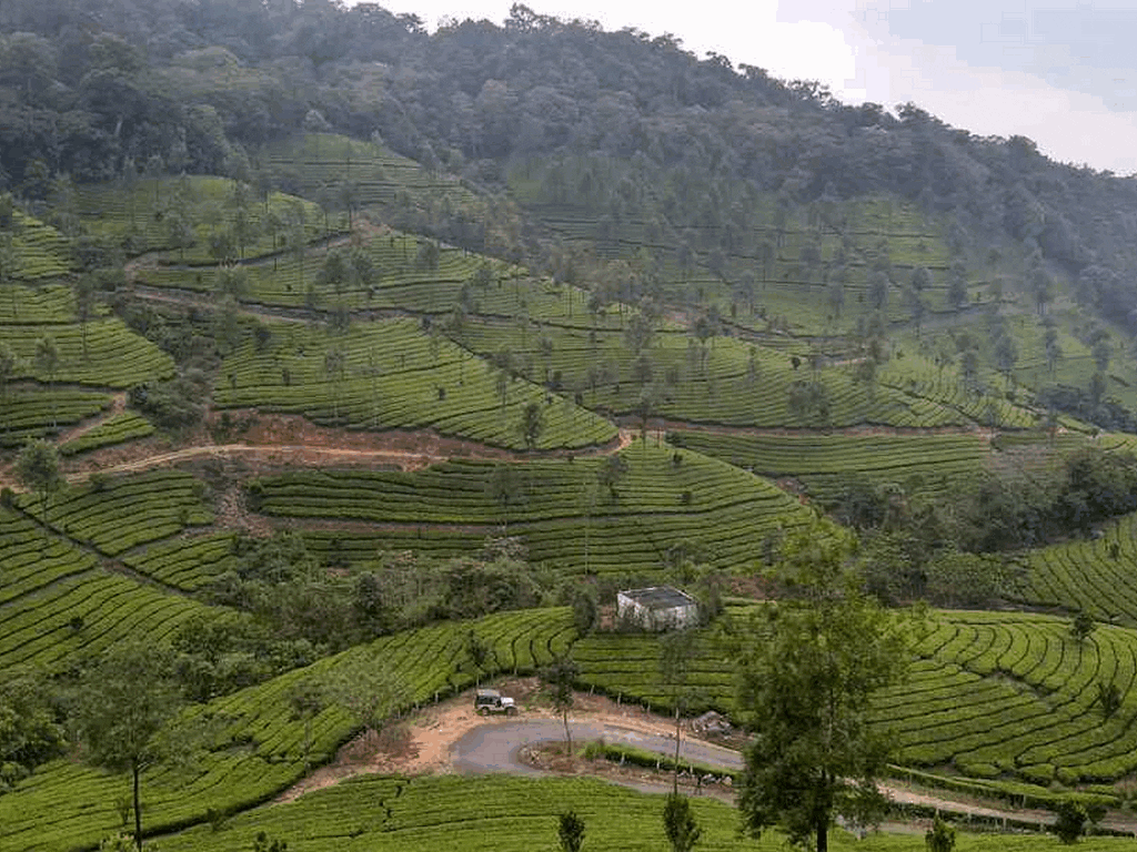 munnar-to-annamalai-hills