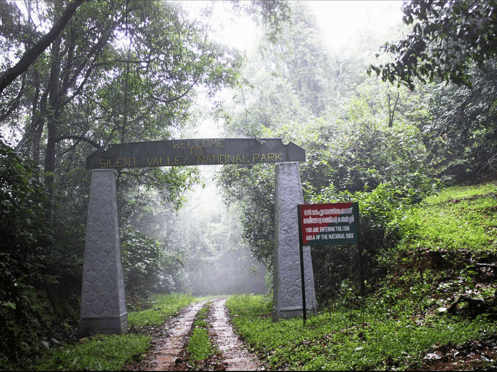 silent-valley-kerala