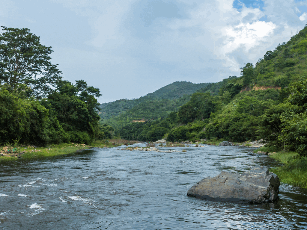 silent-valley-national-park