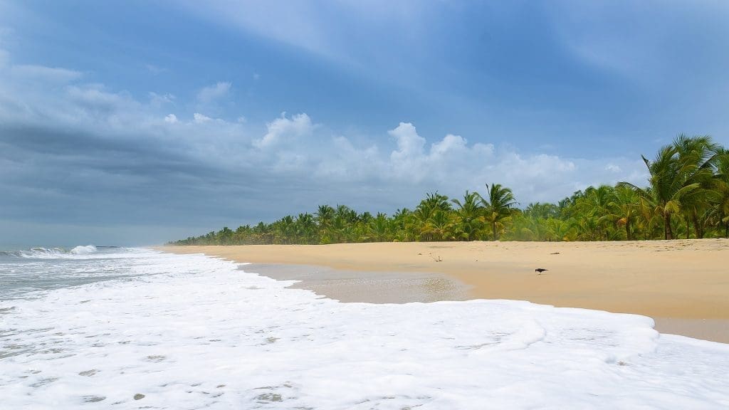 Marari Beach Sea Shore