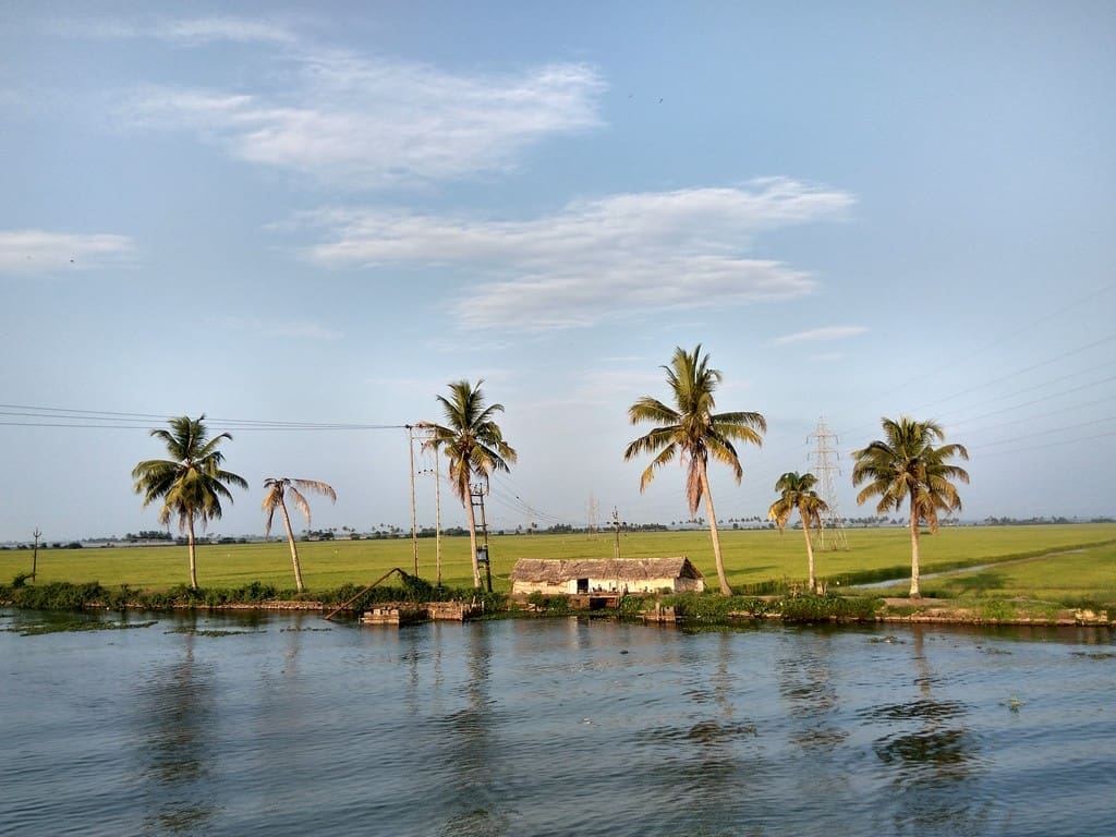 best-backwaters-in-alleppey-14