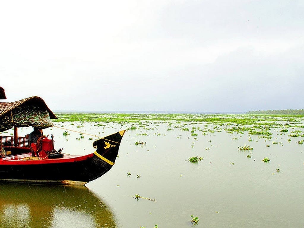 backwaters-in-alleppey