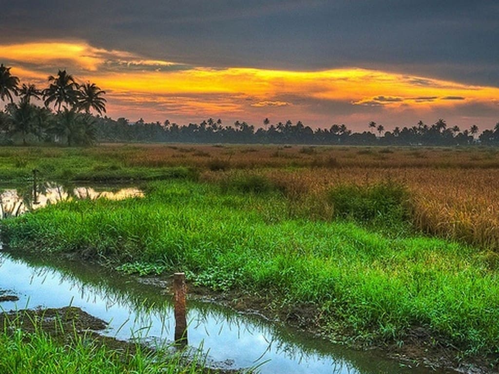 best-backwaters-in-alleppey