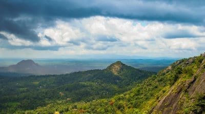 Wayanad in Kerala in summer