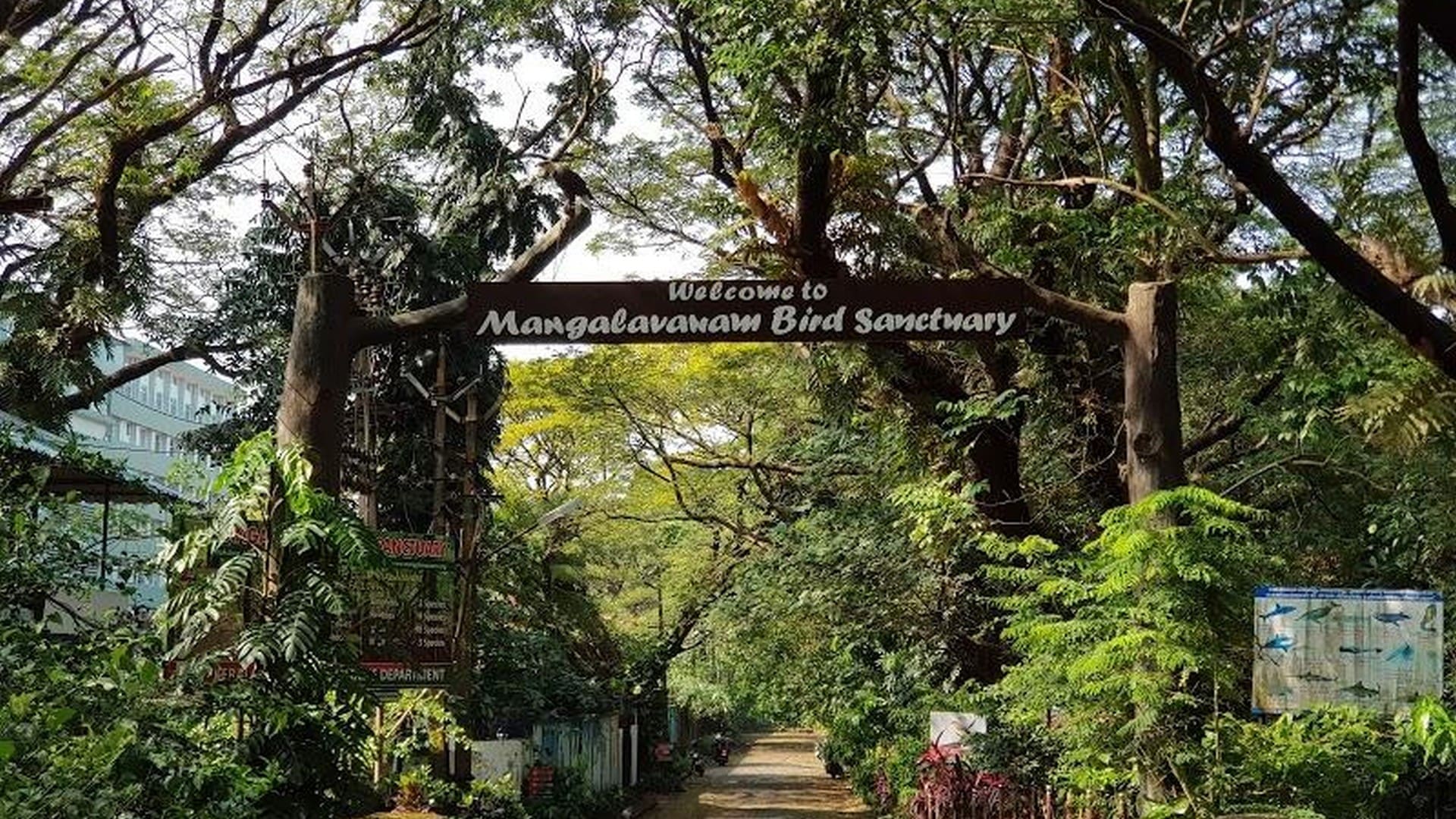 mangalavanam-bird-sanctuary-kochi