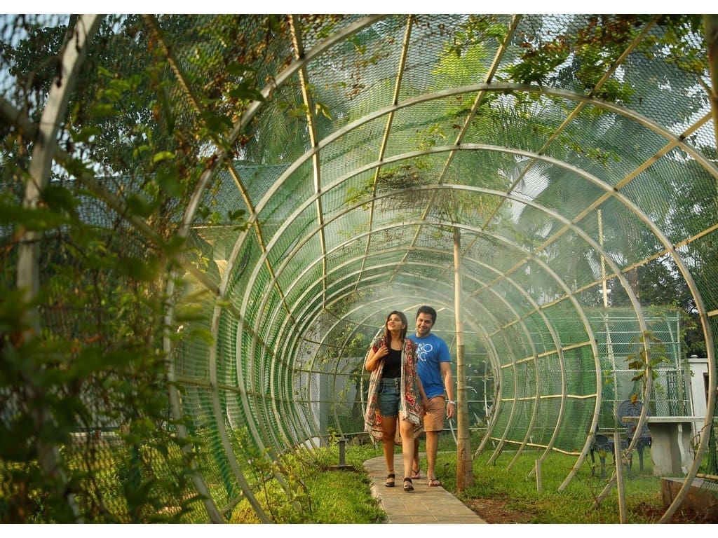 best-resorts-in-athirappilly