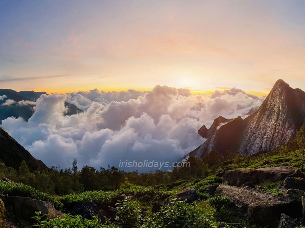 munnar-top-station