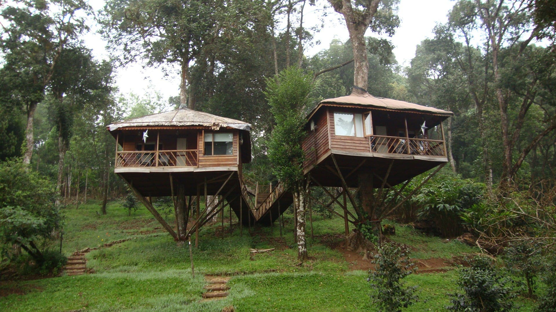 munnar-treehouse-naturezone