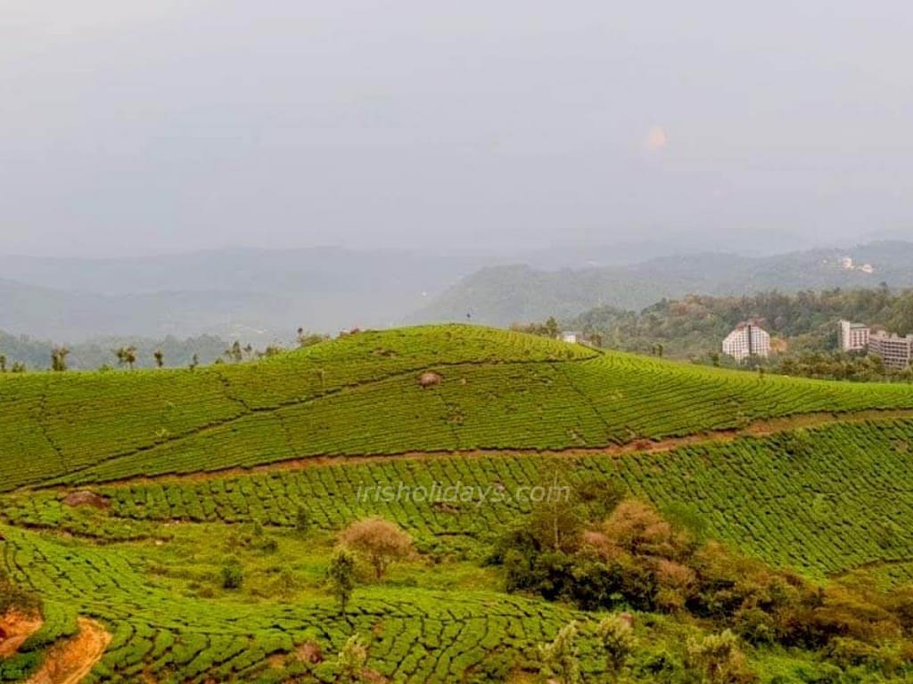 pothamedu-viewpoint-munnar