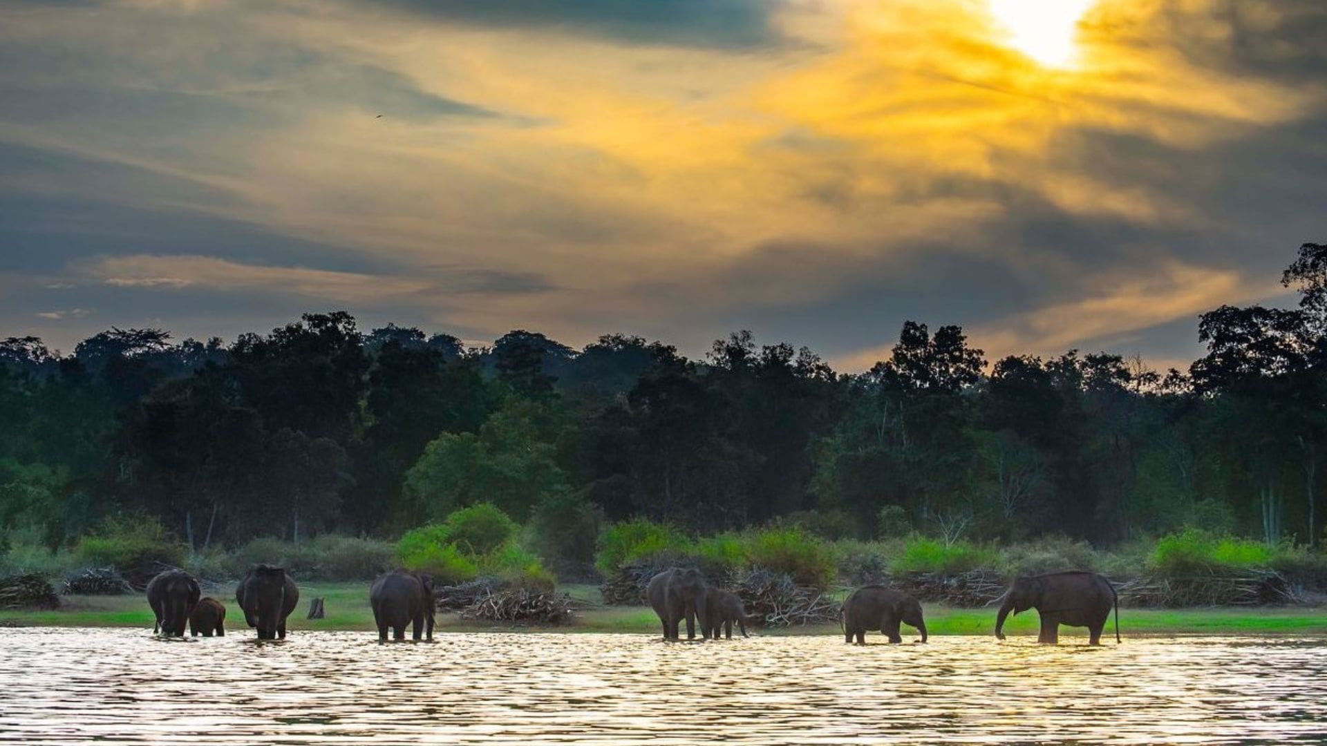 kabini-river