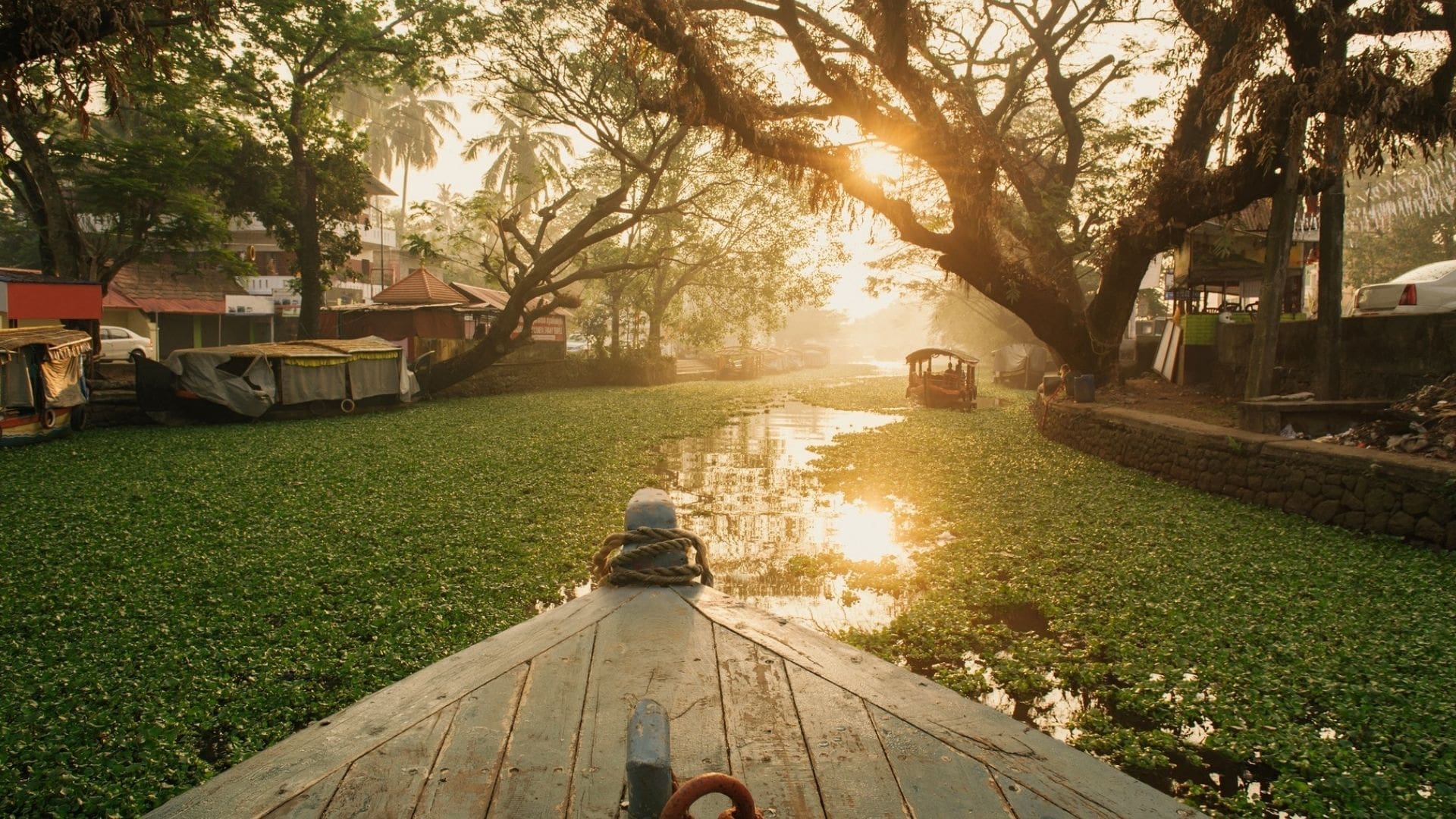 sunrise-shikara-cruise-alleppey