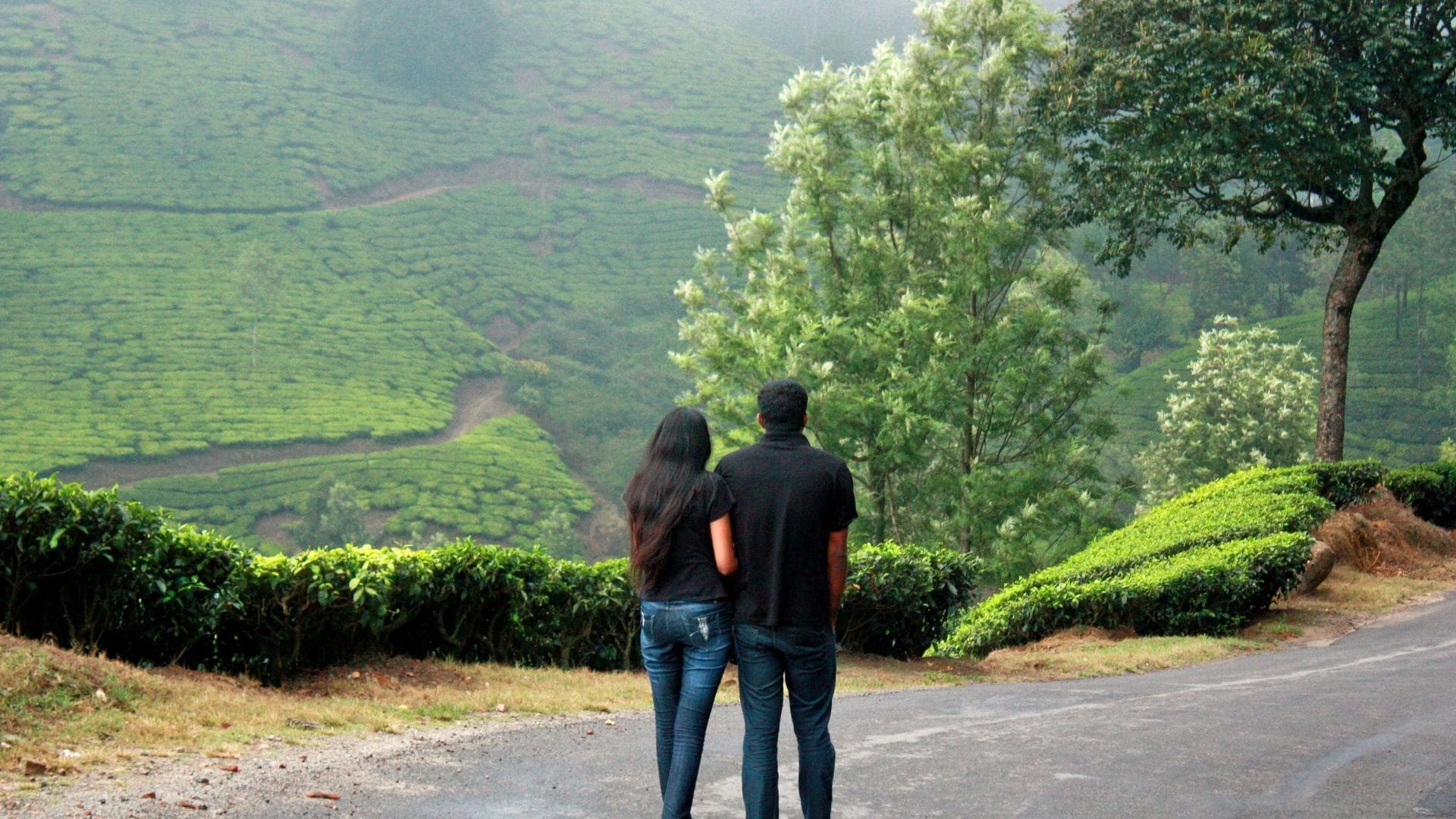 tea-plantations-munnar