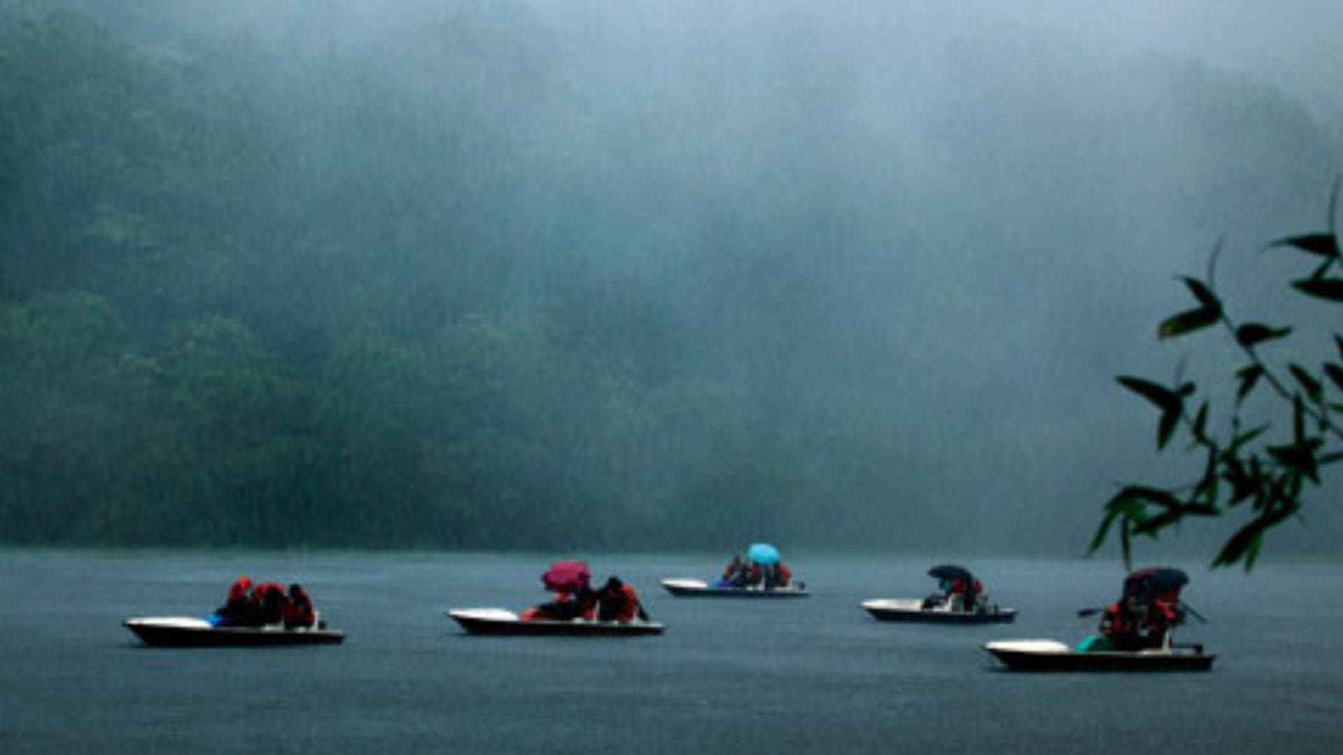 Wayanad-Monsoon