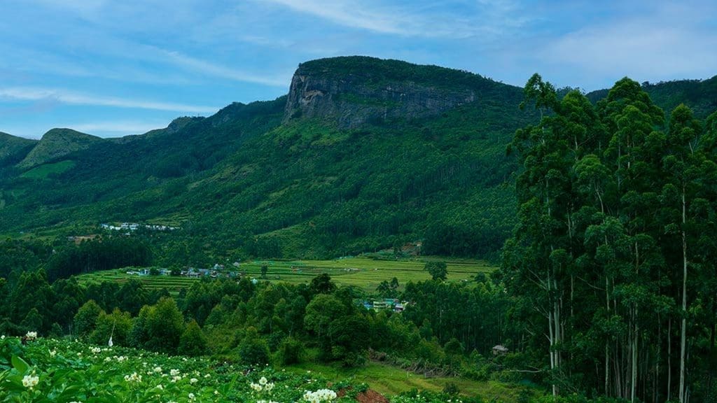 kanthalloor-munnar