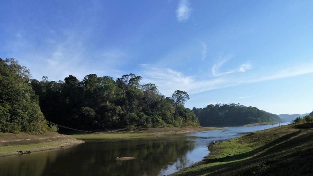 thekkady-lake-view