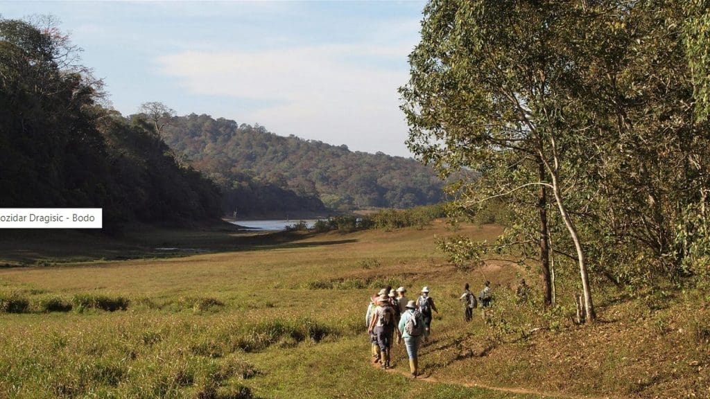 walking-near-the-lake-bank