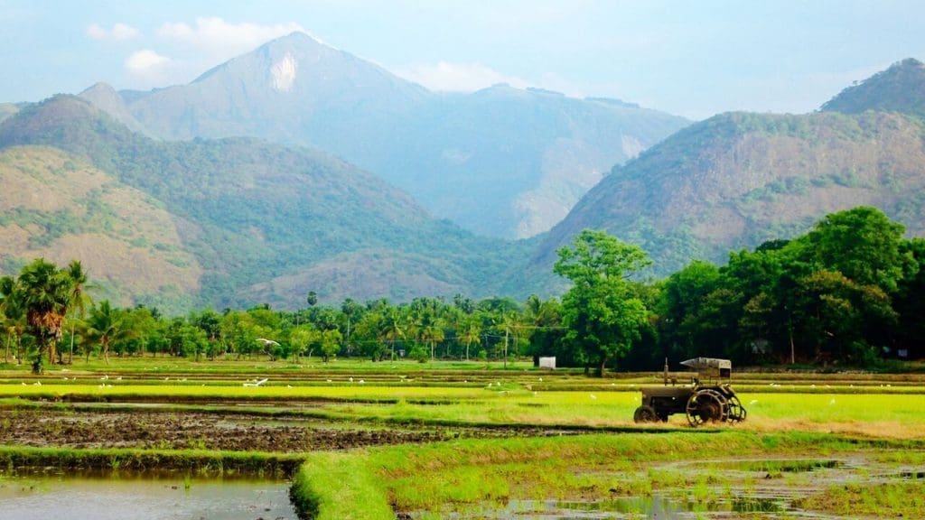 kollengode-kerala