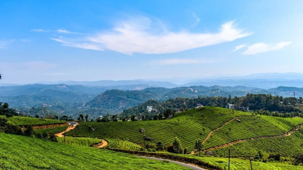 munnar-kerala