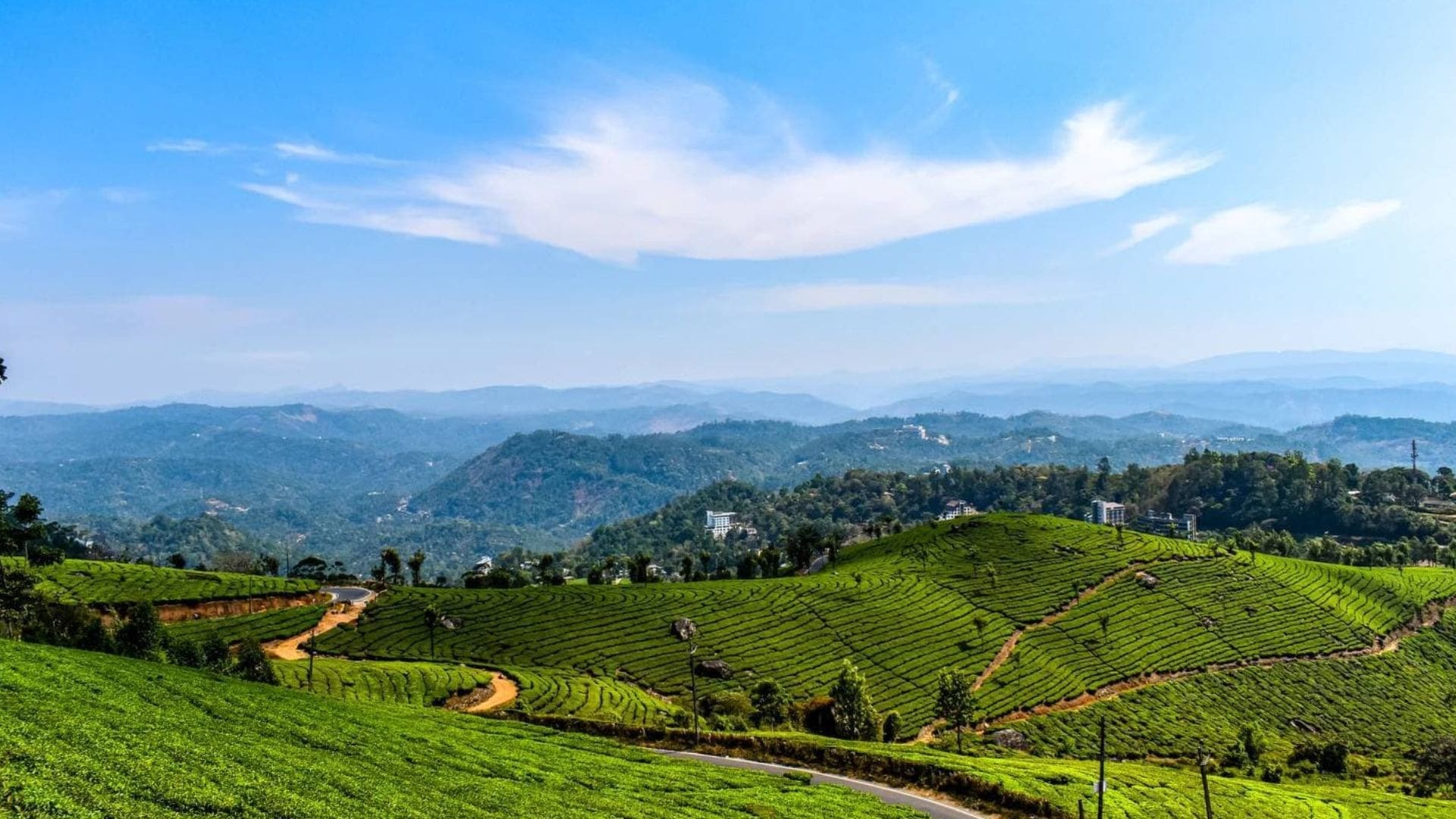 ooty- and-munnar-kerala