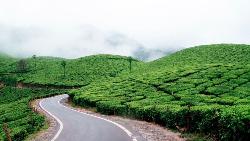 munnar-kerala-road