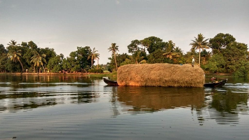 backwaters-kumarakom-kerala