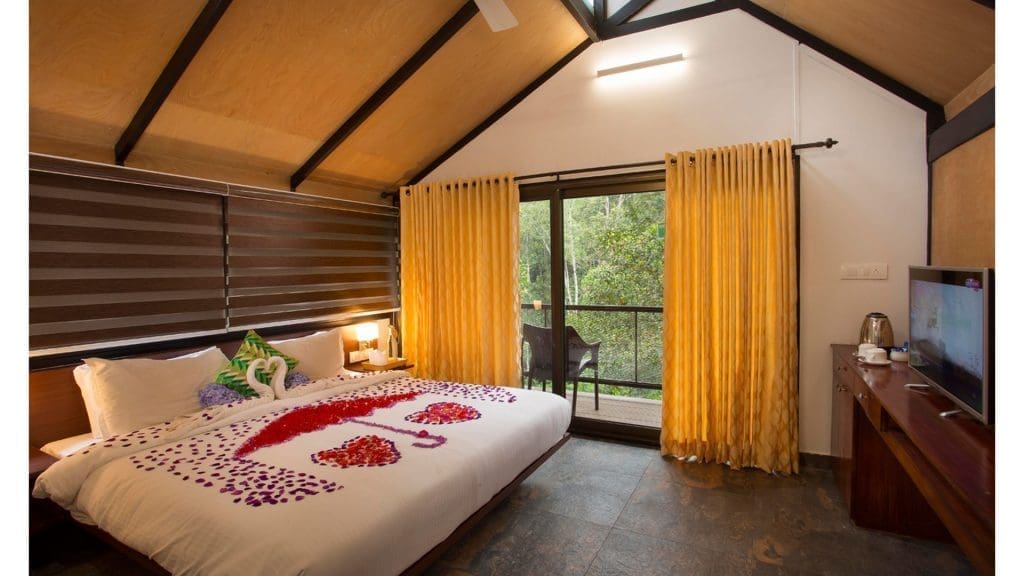 dream-kerala-package-with-treehouse