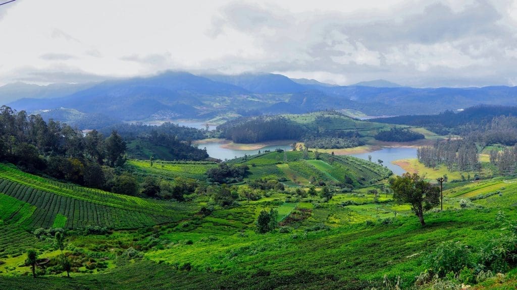 ooty-emerald-lake