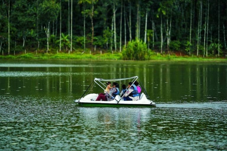 15 Most Fascinating Places To Visit In Wayanad In 2025 – Iris Holidays