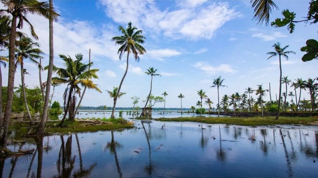 monsoon-in-kerala-backwaters