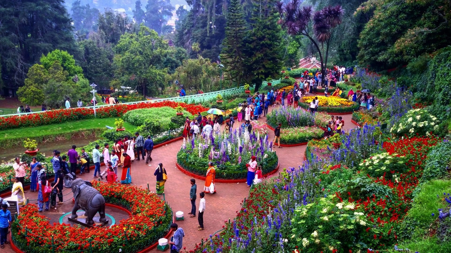 botanical-gardens-ooty